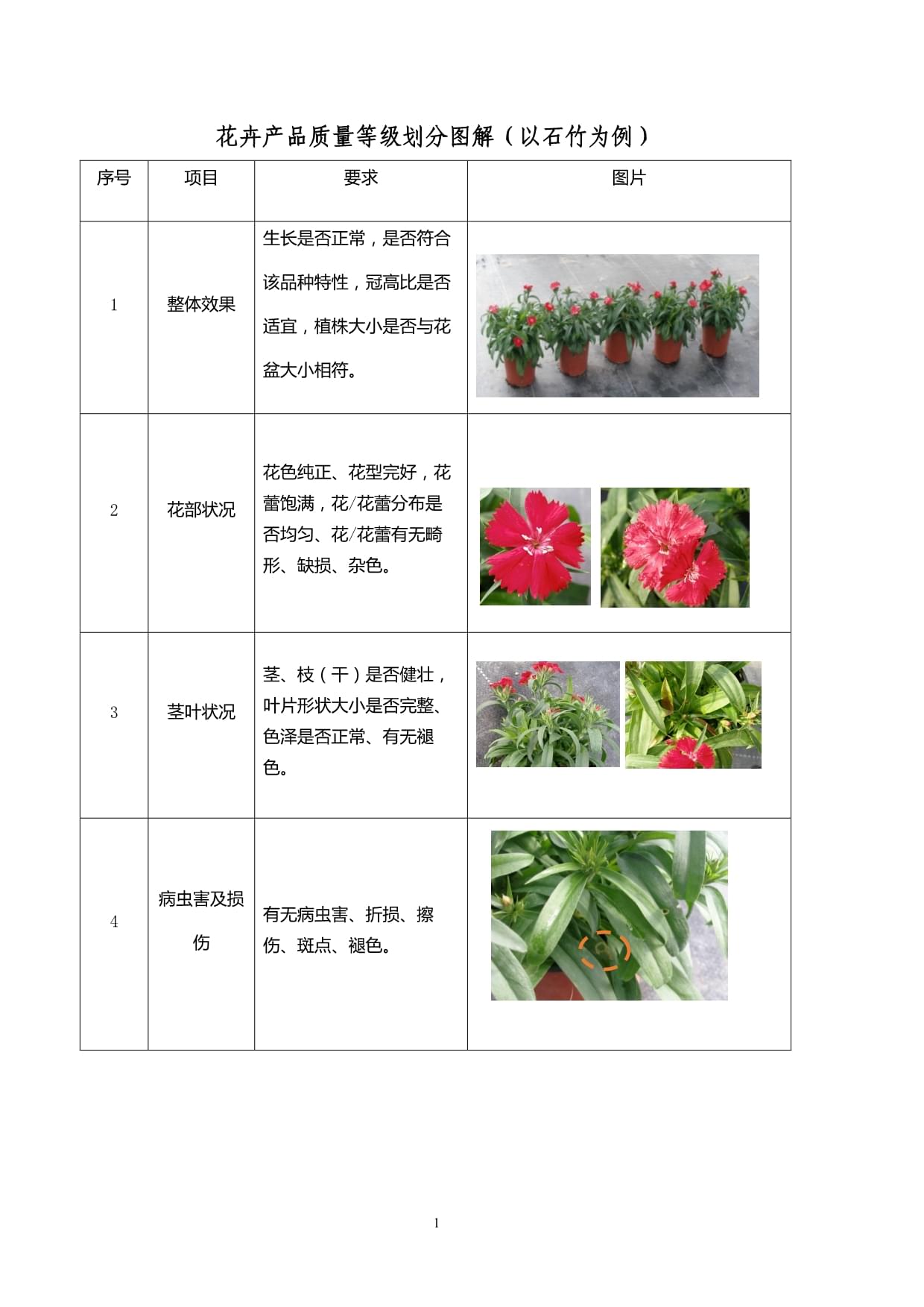 花卉產(chǎn)品質(zhì)量等級(jí)劃分圖解 以石竹盆景為例